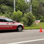Görsel: Zürih Kanton Polisi