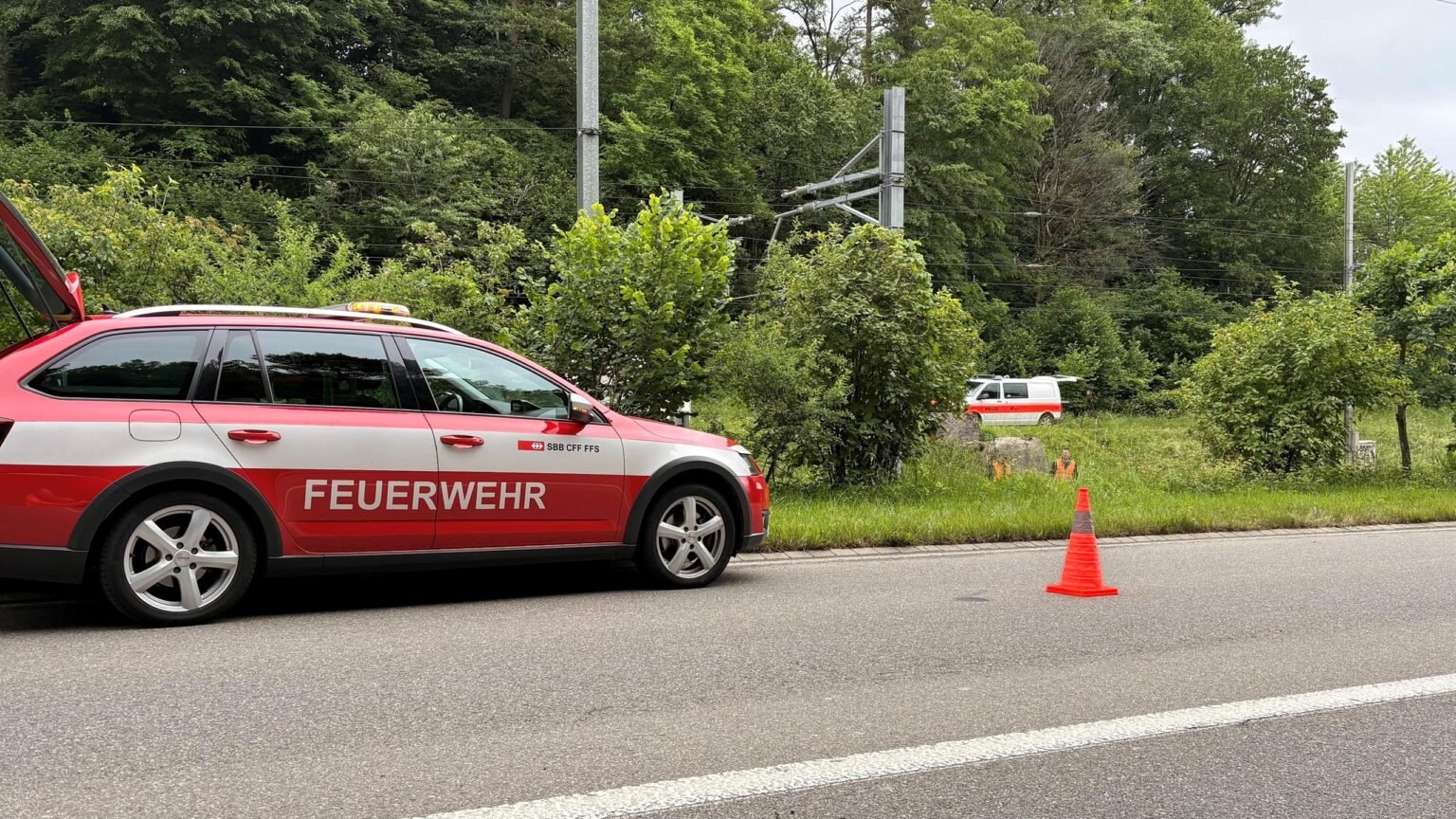 Görsel: Zürih Kanton Polisi