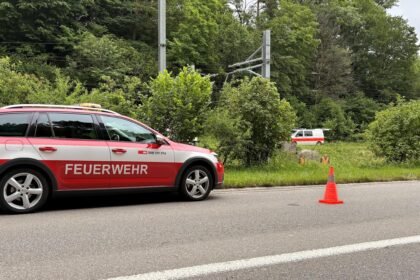 Görsel: Zürih Kanton Polisi