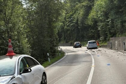 Fotoğraf: Zürih Kanton Polisi