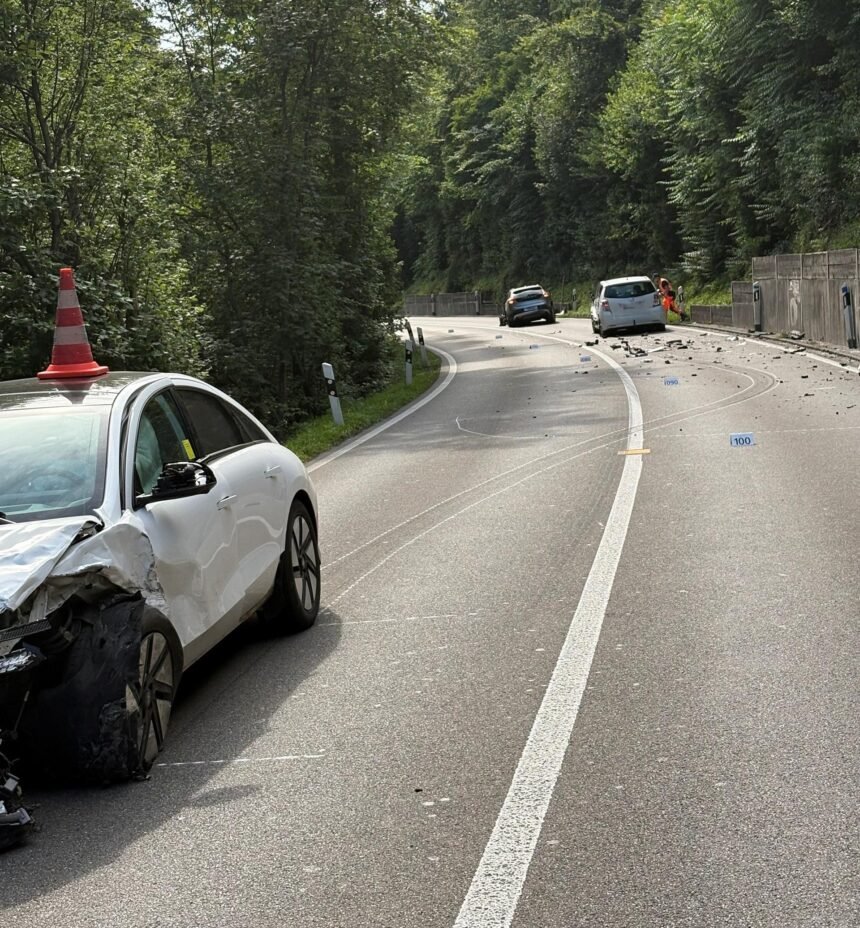 Fotoğraf: Zürih Kanton Polisi