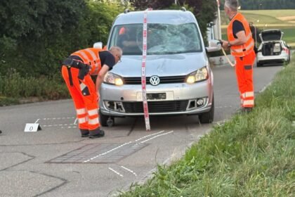 Kaynak: Zürih Kanton Polisi