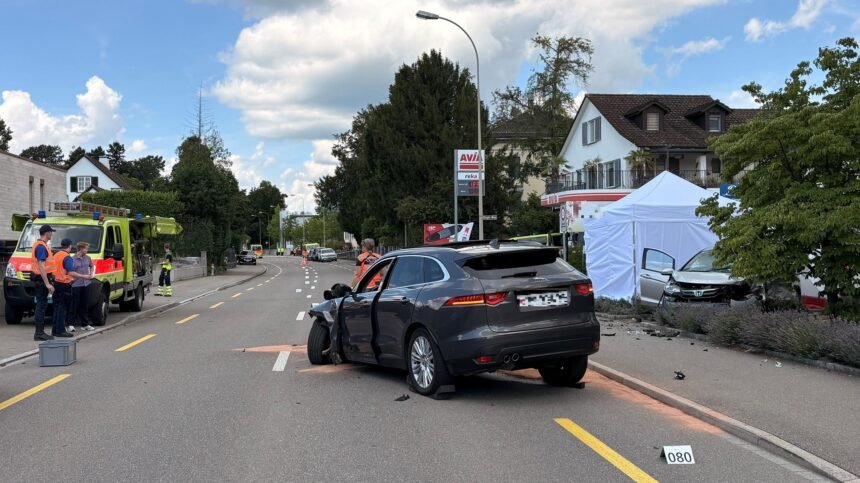 Kaynak: Zürih Kanton Polisi